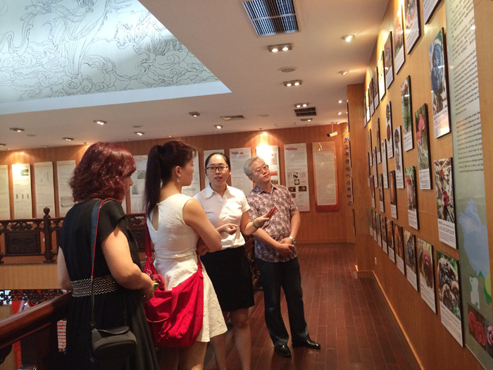 專(zhuān)題報(bào)道