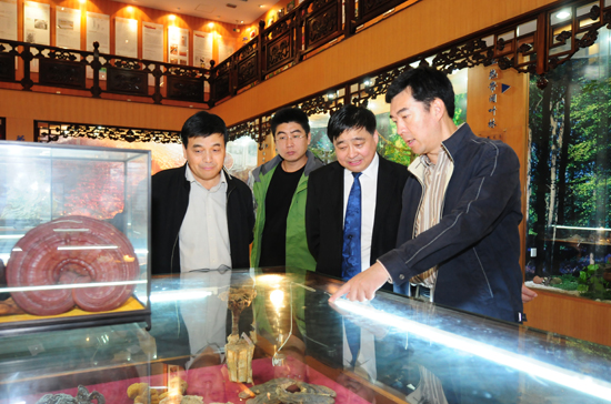 圖片關鍵詞 圖片關鍵詞