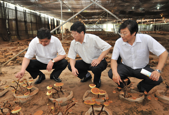 圖片關(guān)鍵詞 圖片關(guān)鍵詞