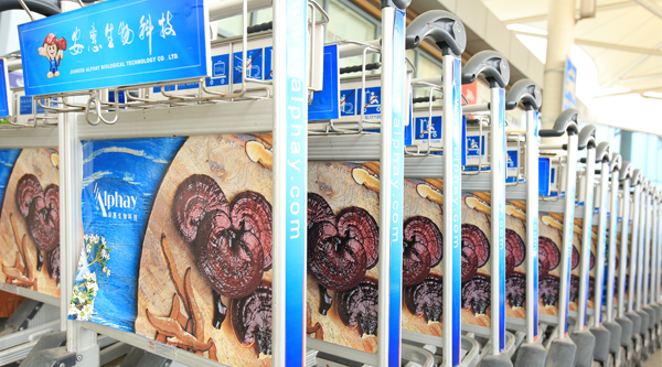 圖片關鍵詞 圖片關鍵詞