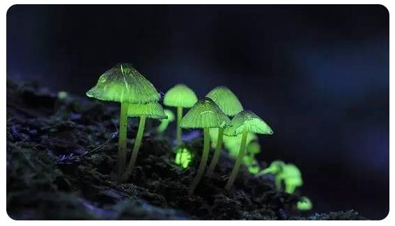 圖片關鍵詞 圖片關鍵詞