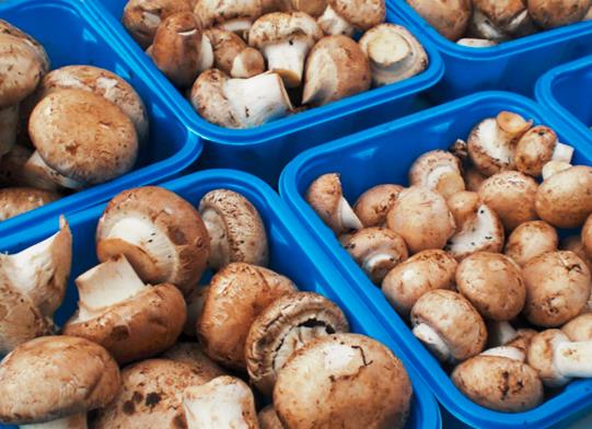 圖片關鍵詞 圖片關鍵詞