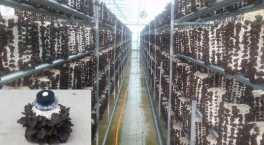 圖片關鍵詞 圖片關鍵詞