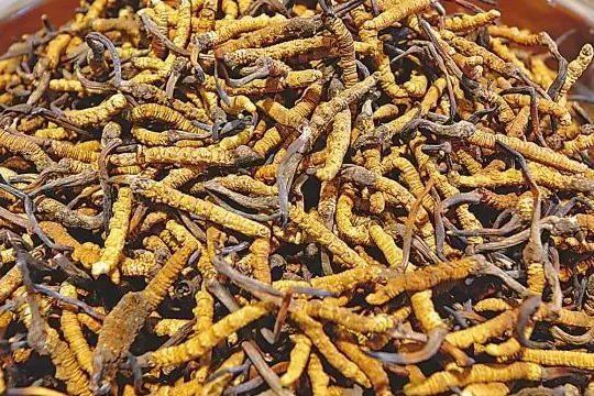 圖片關鍵詞 圖片關鍵詞