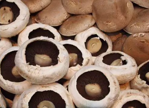 圖片關鍵詞 http://www.trickimania.com/ewebeditor/uploadfile/20170914091257506001.png