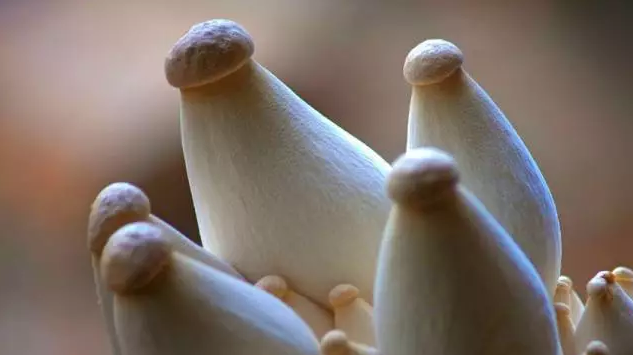 圖片關鍵詞 http://www.trickimania.com/ewebeditor/uploadfile/20170914091357269001.png