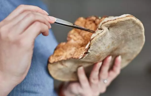 圖片關鍵詞 圖片關鍵詞