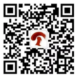 圖片關(guān)鍵詞 圖片關(guān)鍵詞