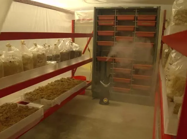 圖片關鍵詞 圖片關鍵詞