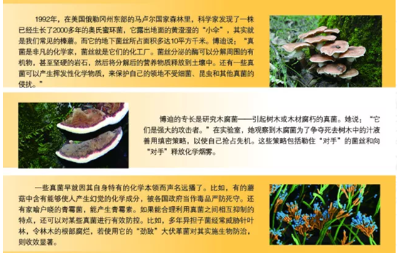 圖片關(guān)鍵詞 圖片關(guān)鍵詞