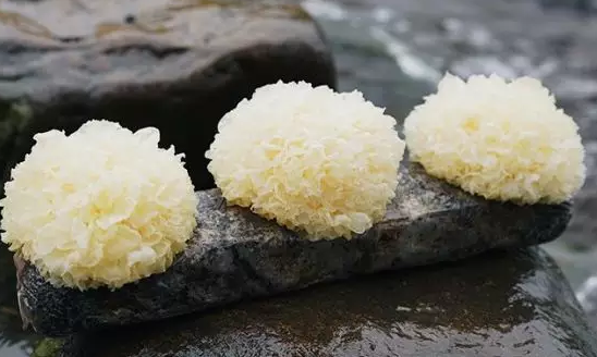 圖片關鍵詞 http://www.trickimania.com/ewebeditor/uploadfile/20180328092751720001.png