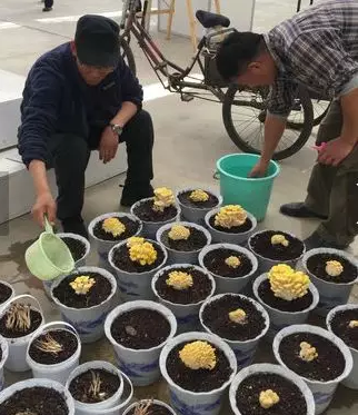 圖片關鍵詞 圖片關鍵詞