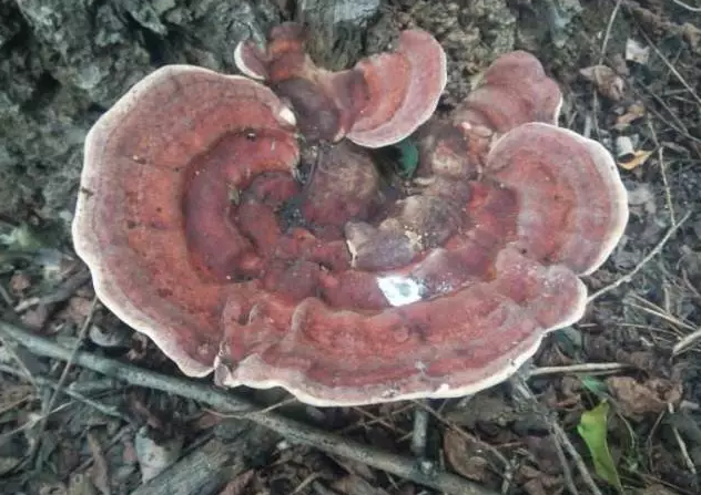 圖片關鍵詞 圖片關鍵詞