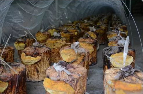 圖片關鍵詞 圖片關鍵詞