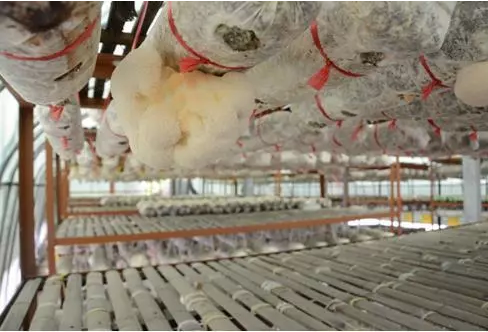 圖片關鍵詞 圖片關鍵詞