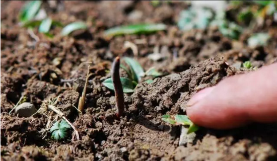 圖片關鍵詞 http://www.trickimania.com/ewebeditor/uploadfile/20180814102741148001.png