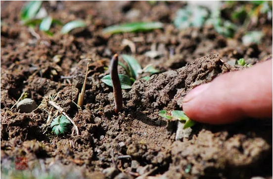 圖片關鍵詞 http://www.trickimania.com/ewebeditor/uploadfile/20180921101313325001.png