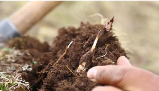 圖片關鍵詞 http://www.trickimania.com/ewebeditor/uploadfile/20180921101228689001.png