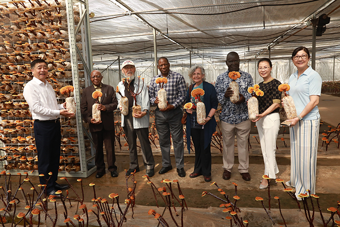 圖片關鍵詞 圖片關鍵詞