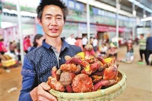 圖片關(guān)鍵詞 圖片關(guān)鍵詞