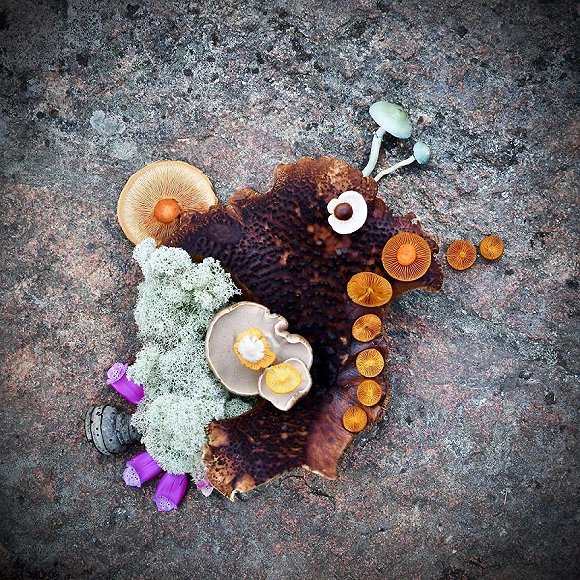 圖片關(guān)鍵詞 http://img3.jiemian.com/jiemian/original/20171123/151141488724866900_a580xH.jpg