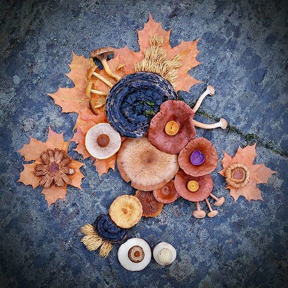 圖片關(guān)鍵詞 http://img3.jiemian.com/jiemian/original/20171123/151141505196156000_a580xH.jpg