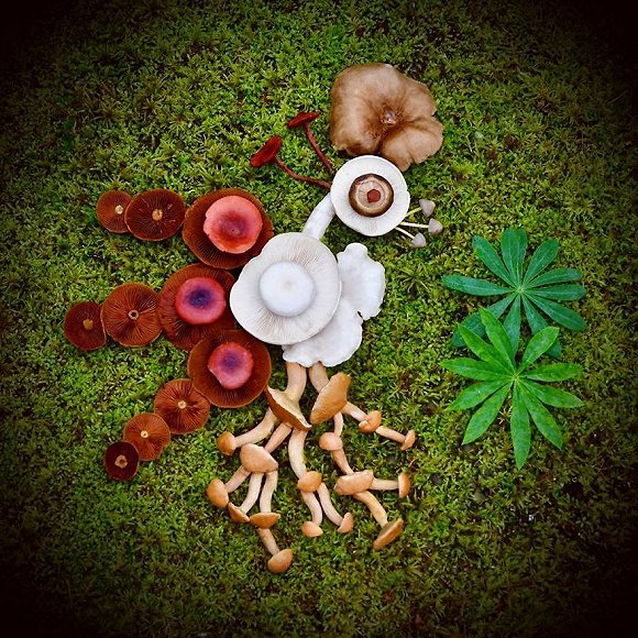 圖片關(guān)鍵詞 http://img1.jiemian.com/jiemian/original/20171123/151141500756480400_a580xH.jpg