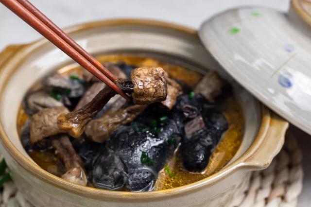 圖片關鍵詞 國家蘑菇地理:中國哪里的蘑菇最好吃?