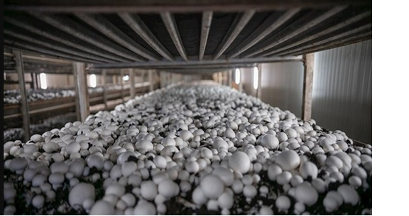 圖片關鍵詞 圖片關鍵詞