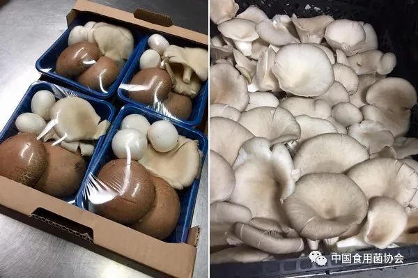 圖片關鍵詞 https://mmbiz.qpic.cn/mmbiz_jpg/qmUUOFzKOyQBM6viceU3sic7YzrQY48ticED0wPV1EicgibhkicnVib1CKlTTiaxicNreRbVy9vfsCnxID4nI0FmiapMvib2w/640?wx_fmt=jpeg