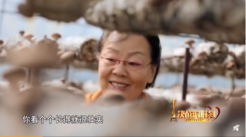 圖片關鍵詞 https://mmbiz.qpic.cn/mmbiz_png/EzTg6Bqtpm3iblCYHwA5wiacjsibsQCgmow8o50Nyw1MCk8TI4S2npZqJEIY15gzulo9eyyfzAEZAHiaSxQy3jbafA/640?wx_fmt=png