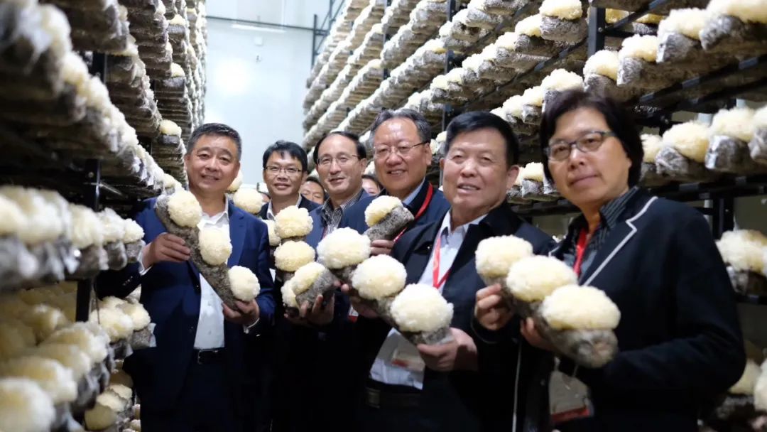 圖片關(guān)鍵詞 圖片