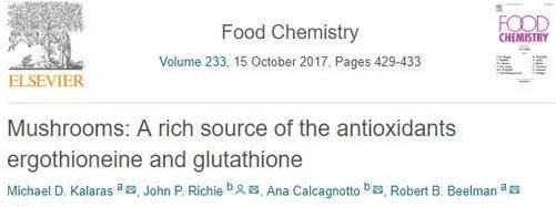 圖片關(guān)鍵詞 圖片