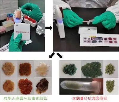 圖片關(guān)鍵詞 圖片