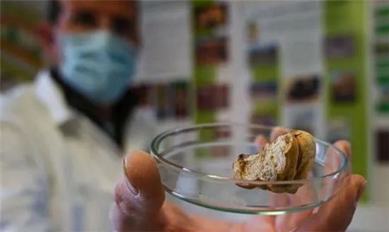 圖片關(guān)鍵詞 圖片