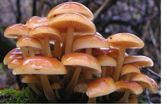 圖片關(guān)鍵詞 圖片關(guān)鍵詞