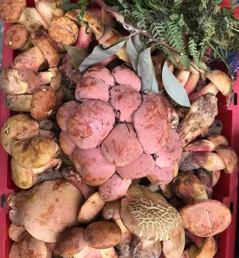 圖片關(guān)鍵詞 圖片關(guān)鍵詞