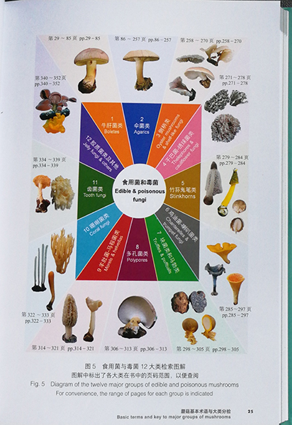 圖片關鍵詞 圖片關鍵詞