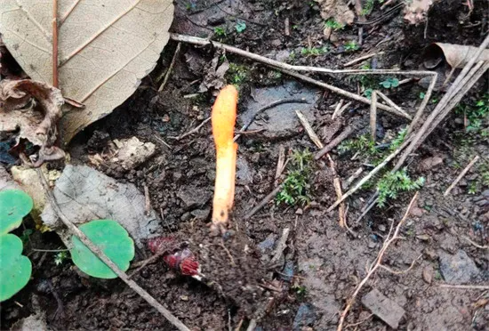 圖片關鍵詞 圖片關鍵詞