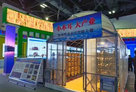 圖片關鍵詞 圖片關鍵詞