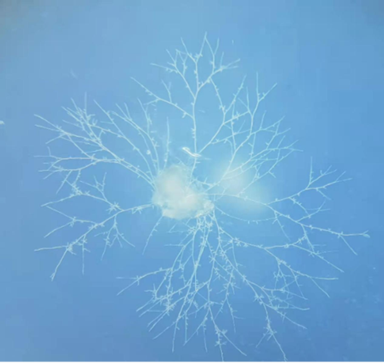 圖片關(guān)鍵詞 圖片關(guān)鍵詞