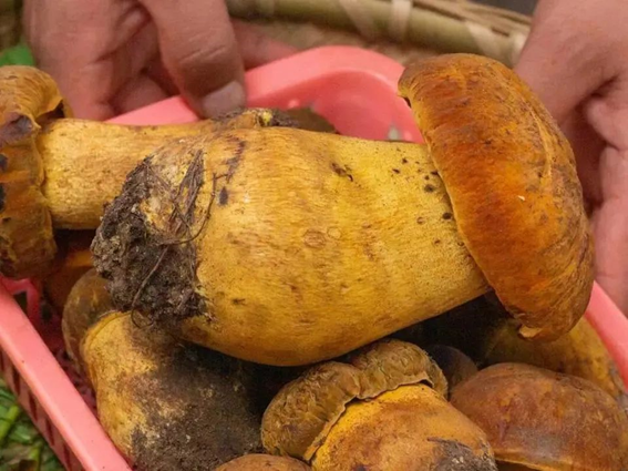 圖片關鍵詞 圖片關鍵詞