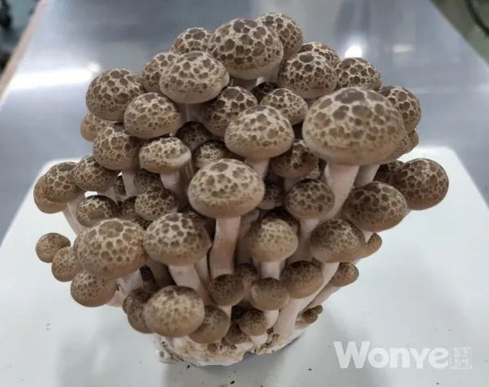 圖片關鍵詞 圖片關鍵詞