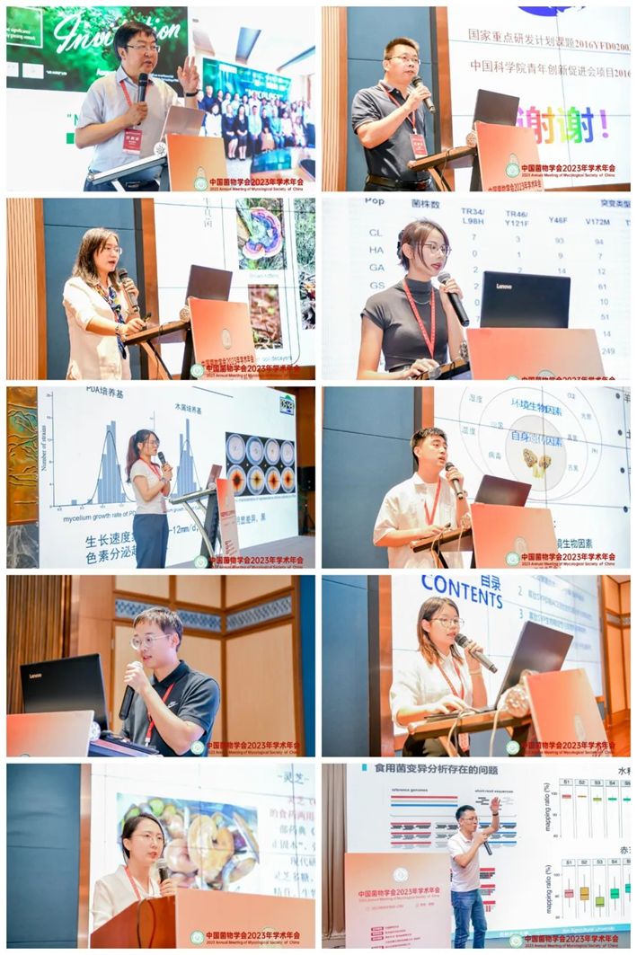 圖片關鍵詞 圖片關鍵詞