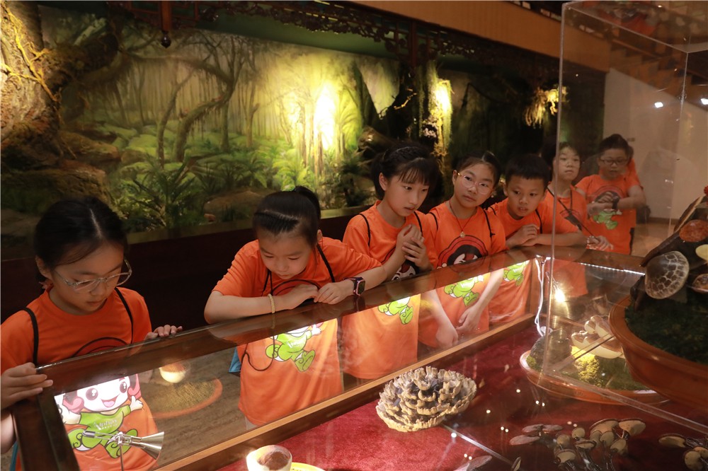 圖片關鍵詞 圖片關鍵詞