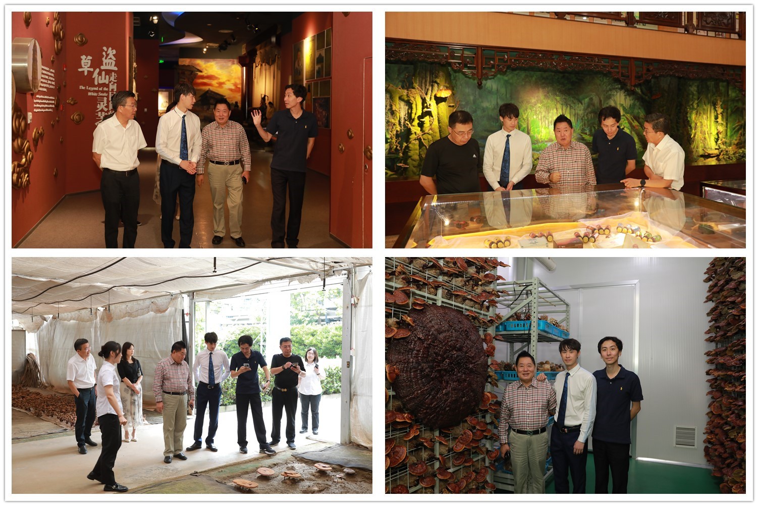 圖片關鍵詞 圖片關鍵詞