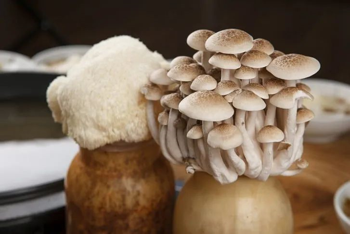 圖片關鍵詞 圖片關鍵詞