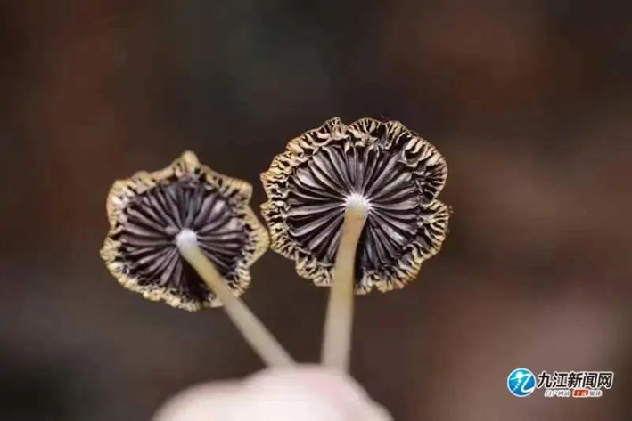 圖片關鍵詞 圖片關鍵詞