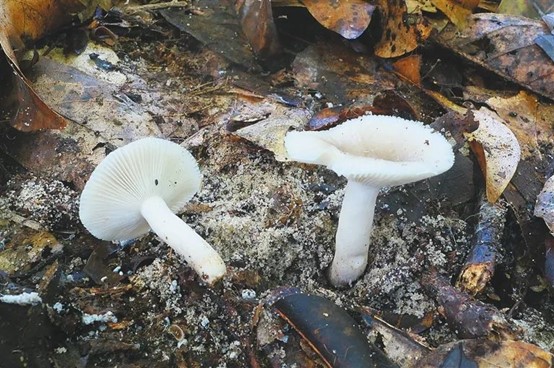 圖片關鍵詞 圖片關鍵詞