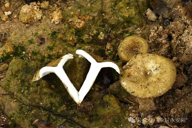 圖片關鍵詞 圖片關鍵詞